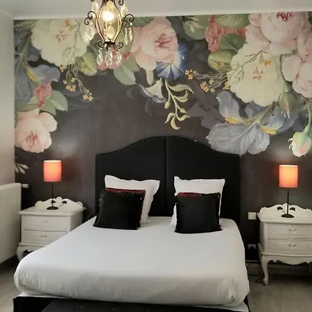 La Maison Blanche 住宿加早餐酒店 布拉耶圣卢斯