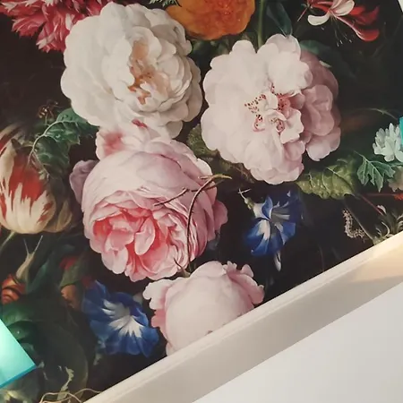 فندق مبيت وإفطار La Maison Blanche 3*