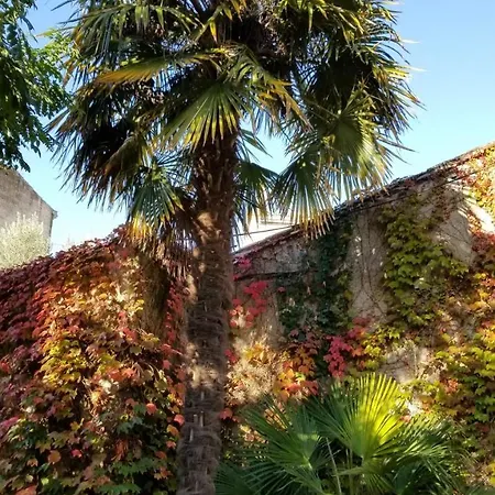 La Maison Blanche לינה וארוחת בוקר בליי