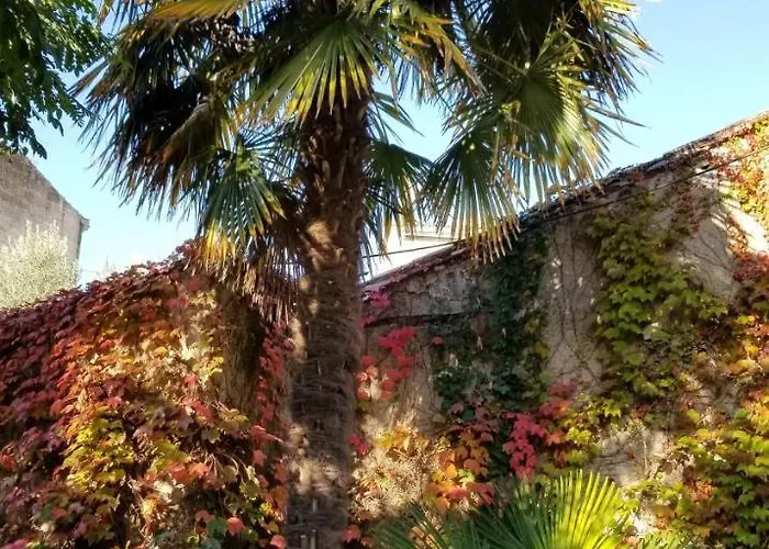 La Maison Blanche לינה וארוחת בוקר בליי